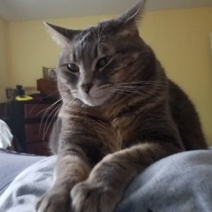 Meet your Posher, Charlotte